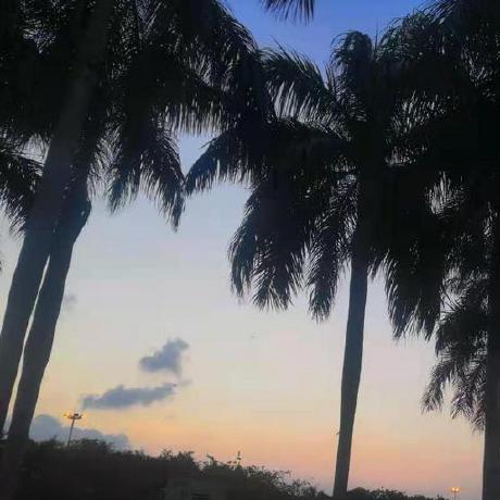 Sbounds Shelby Bounds Github - Best Sunset Arts in 8K