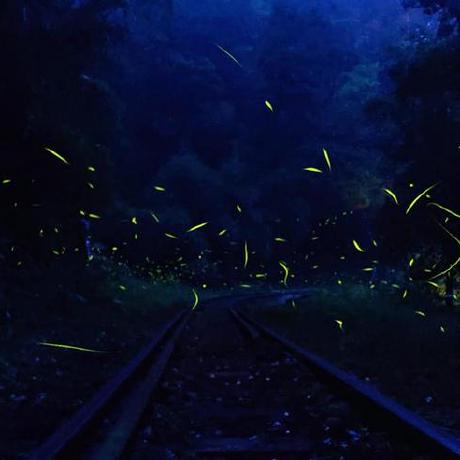 Github Oliviagray6 Olivia - Download Gorgeous Colorful Art | Desktop