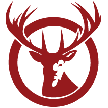 Silver Stag Github - Amazing 4K Dark Pictures | Free Download