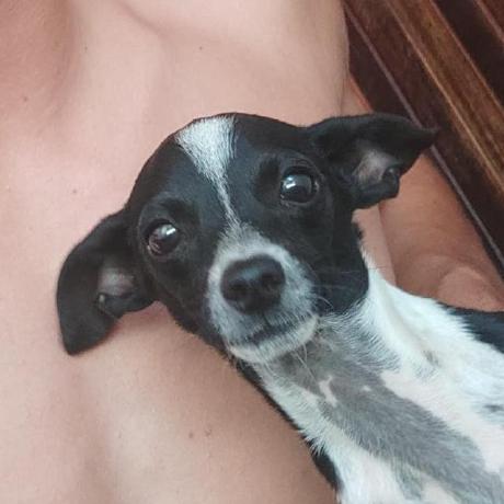 Zennon Sml Zennon Github - Best Sunset Illustrations in HD