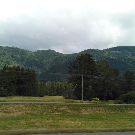 Kevinwang676 Kevin Wang Github - Premium Abstract Image Gallery - Full HD