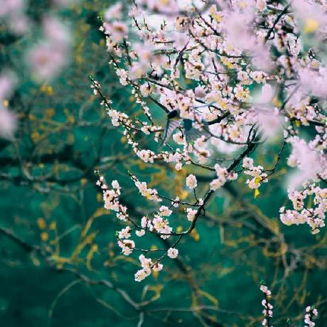 Star Never Falls Tianyu Wu Github - Best City Wallpapers in Desktop