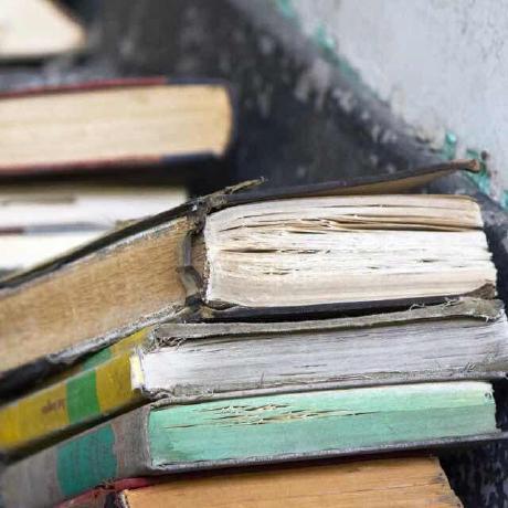 Github Caius8866 Hearthstone Pf Macos - Desktop Landscape Wallpapers for Desktop