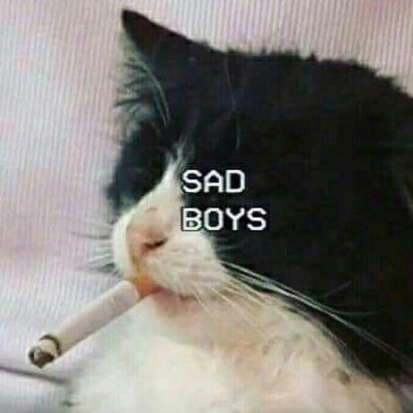 Split Ends Svetlana Demid Github - Best Sunset Patterns in Full HD