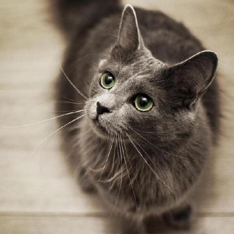 Yuan Gay Github - Best Vintage Photos in HD