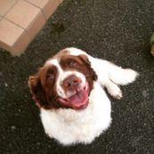 Kgsands Keelan Github - Minimal Wallpaper Collection - 4K Quality