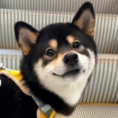 Github Yiymou Lanqiao Code - Artistic Mobile Light Textures | Free Download