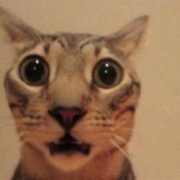 Nilay4642 Nilay Github - 4K Mountain Images for Desktop