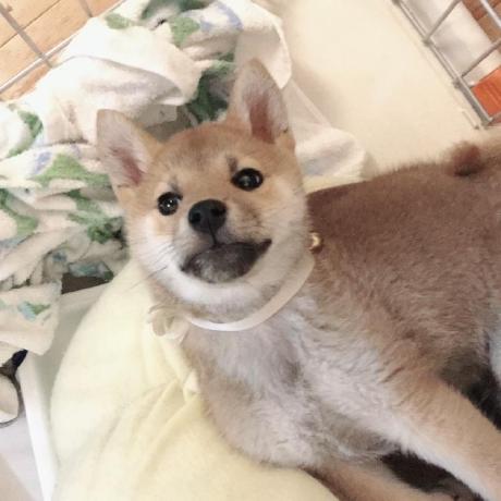 Baoozuma Kento Kazuma Github - Abstract Images - High Quality 8K Collection