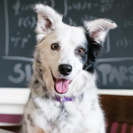 Github Wellesleymussolini Lista Eventos - Light Designs - High Quality 8K Collection