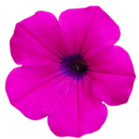 Promisedstar Ryo Kanazawa Github - Full HD City Illustrations for Desktop