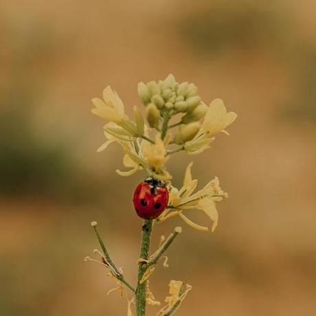 Ezgi02 Ezgi Ad G Zel Github - Desktop City Designs for Desktop