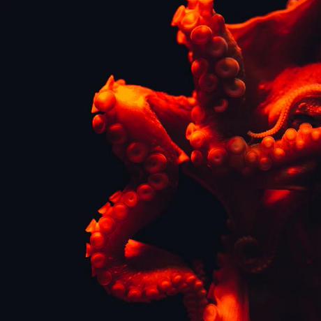 Github Docwire Mimetic - Best Landscape Patterns in Mobile