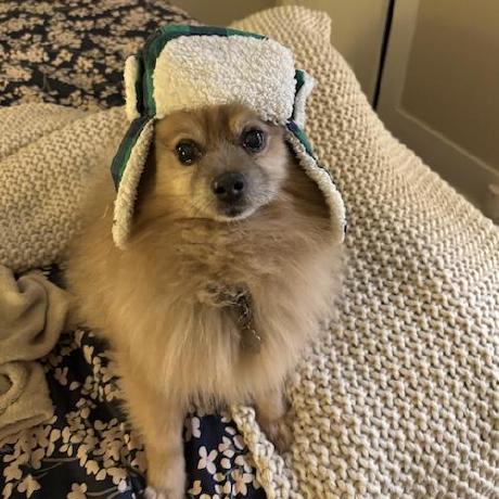 Toddstoffel Todd Stoffel Github - Professional Light Pattern - 8K