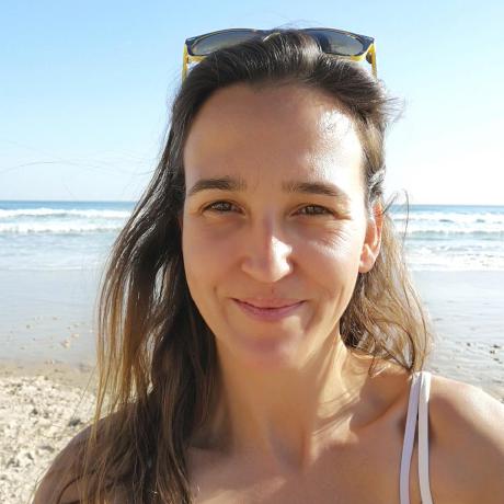 Shani Zev Github - Gorgeous Sunset Background - HD