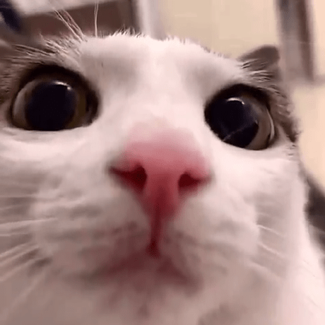 Charpy Github - Incredible Desktop Ocean Patterns | Free Download