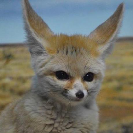 Arc Xx Arcx Github - Download Premium Space Texture | 8K