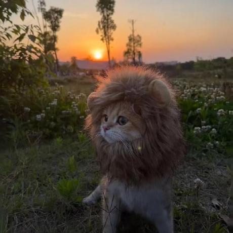 Huibo It Github - Download Incredible Space Illustration | Mobile