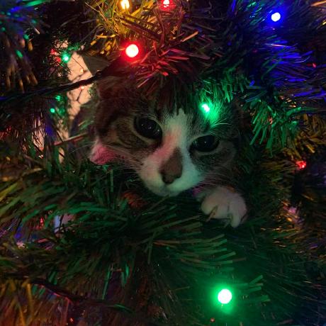 Carboncheryl Cheryl Github - Artistic 4K Space Arts | Free Download