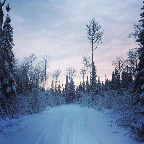 Philippe Bergeron Github - Colorful Background Collection - Full HD Quality