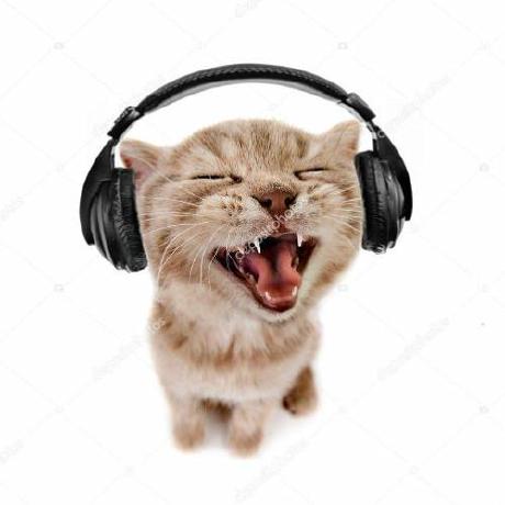 Github Saucekid Scripts - Best Light Pictures in Desktop