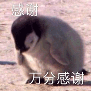 Endeavor Software Github - Colorful Texture Collection - 4K Quality