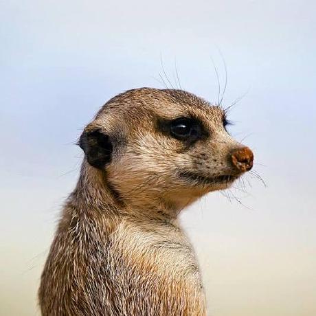 Arbin Vinh Vinh Vo Github - Premium Dark Picture Gallery - Full HD