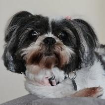 Mara Dawn Mara Github - City Patterns - Stunning Full HD Collection