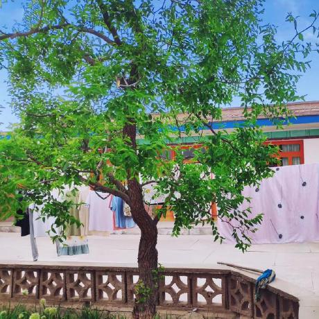 Seven1003 Seven Github - Premium Nature Photo - Retina