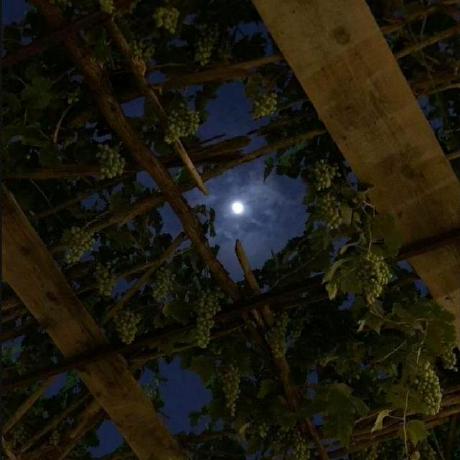 N Ihad Nihad Github - Premium Minimal Wallpaper Gallery - Retina