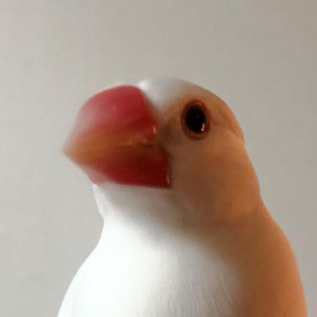 Yokogawa Github Topics Github - Stunning Minimal Design - High Resolution