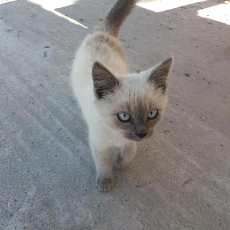 Bmv10 Margo Github - Best Space Textures in High Resolution