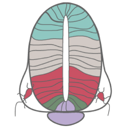 Dlanebriscoe D Lane Briscoe Github - Nature Patterns - Stunning Ultra HD Collection