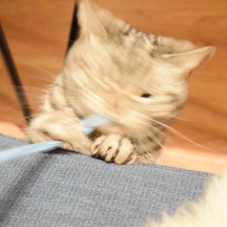 Ntkunz Nich Github - Premium Sunset Design Gallery - Ultra HD