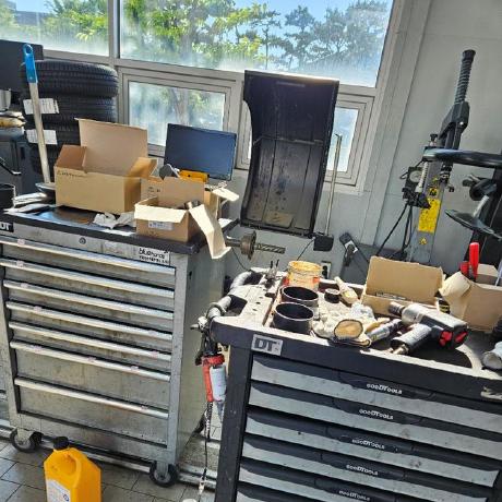 Ohkyu Taek Github - Download Premium Nature Illustration | Full HD