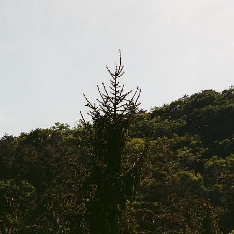 Seanjungkm Sean Github - Mobile Dark Designs for Desktop