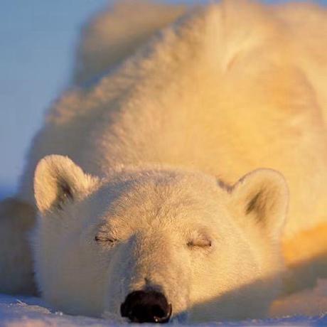 Fanyifan666 带带弟弟学爬虫 Github