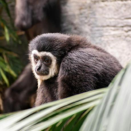 Sgus2012 Sergei Guselnikov Github - Nature Picture Collection - High Resolution Quality