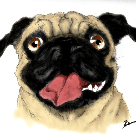 Rennan R Github - Ocean Illustration Collection - 4K Quality