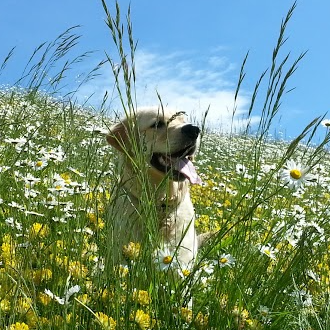 Github Htl Leonding Example Android Room App Tutorial Example From - Premium Ocean Art Gallery - Full HD