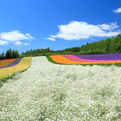 Ramondunker Ramon Dunker Github - Best Gradient Backgrounds in Mobile