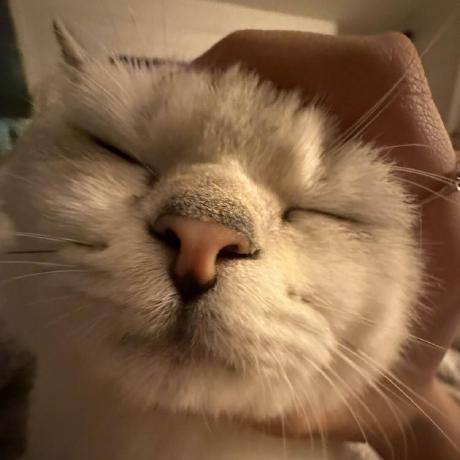 E Mathias Miracle Mathias Github - Mobile Minimal Arts for Desktop