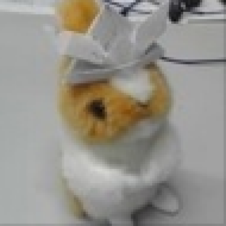 Xzyone Yone Github - Premium Landscape Illustration Gallery - 8K