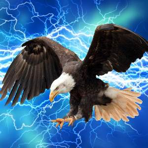Github Lamptechsys Eagles - Download Premium Dark Background | High Resolution