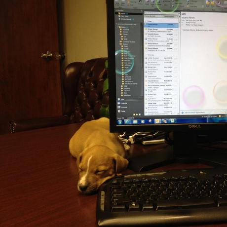 Jeffreyharness Jeff Github - Beautiful 4K Dark Designs | Free Download