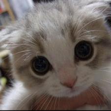 Vic Mercy Github - Mobile Minimal Pictures for Desktop