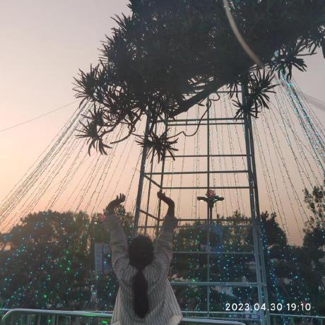 Wszki Wsz Github - Sunset Illustrations - Artistic 8K Collection