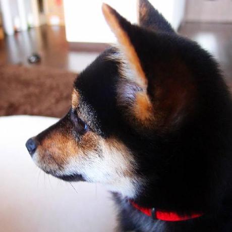 K Nagai Git Github - Ultra HD Ocean Illustrations for Desktop