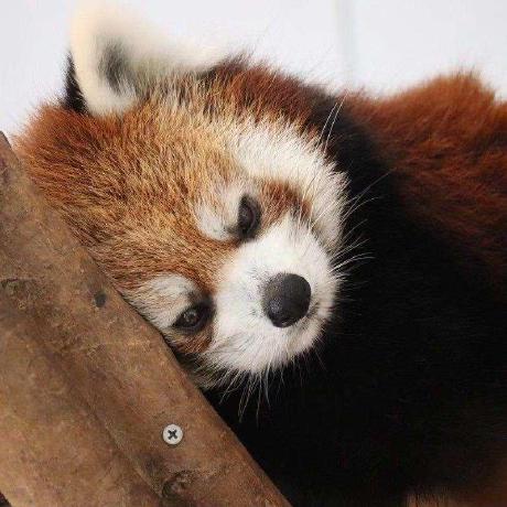 Lwalkl Levi Lavengood Github - Download Creative Light Image | 8K