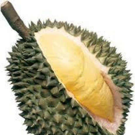 Captncarty Kelvin Maccarthy Github - Premium Light Art Gallery - 4K